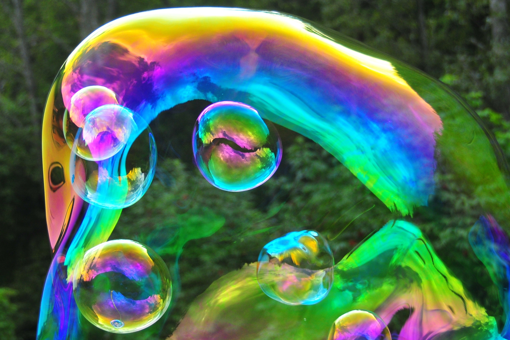 Read more about the article Bubble homepage launched for Austria